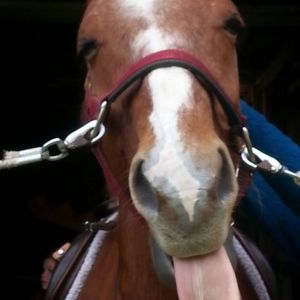 Meet your Posher, Marcy